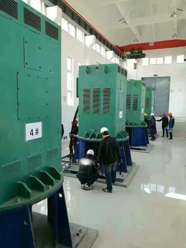 中宁某污水处理厂使用我厂的立式高压电机安装现场